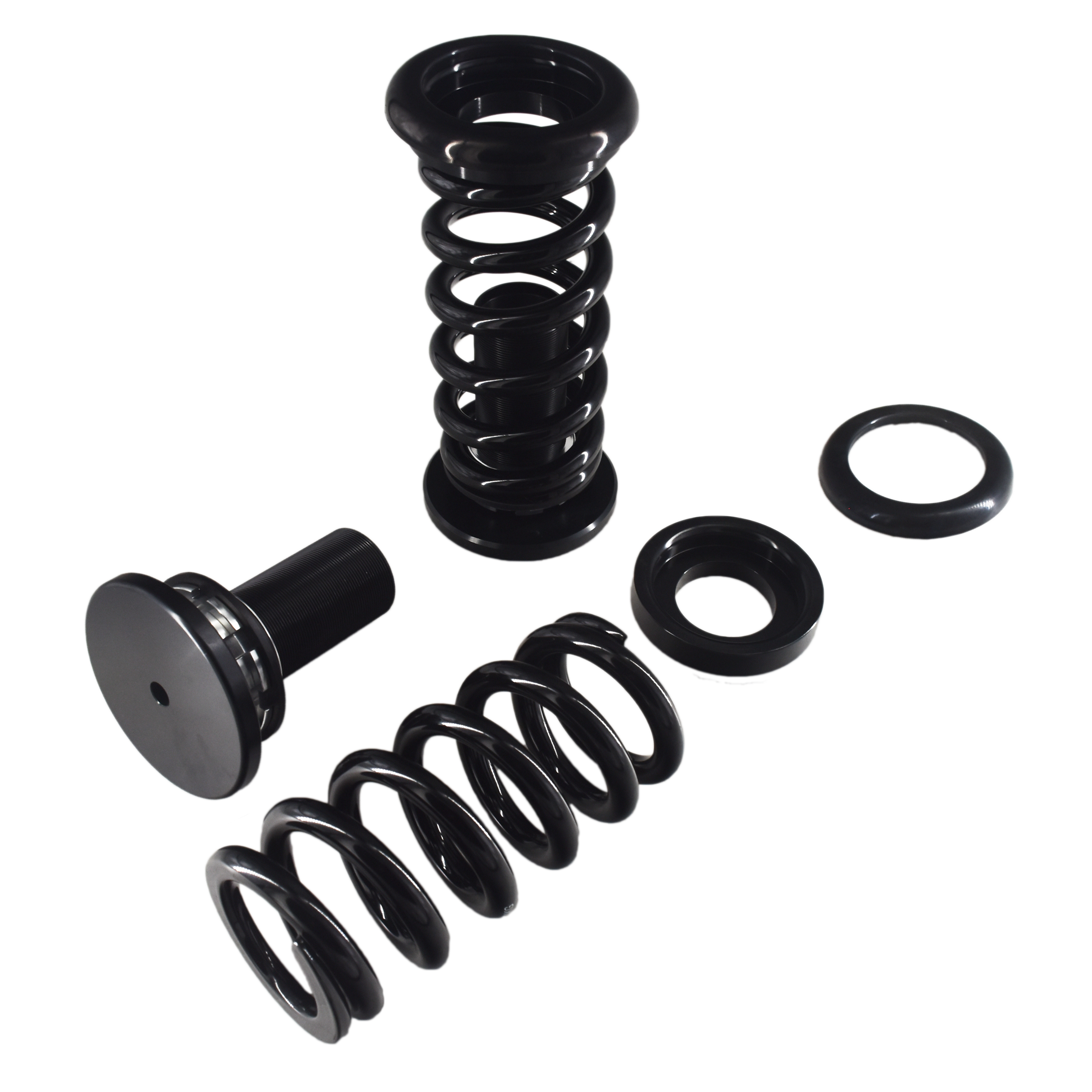 BENZ COIL SPRING (W218 CLS)